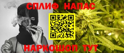PSILOCYBIN Можга