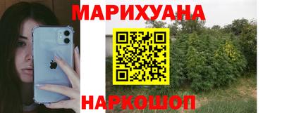 PSILOCYBIN Можга
