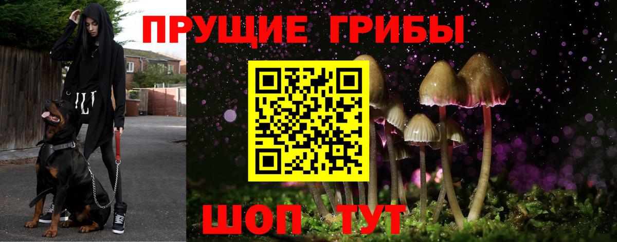 Псилоцибиновые грибы Magic Shrooms Чита